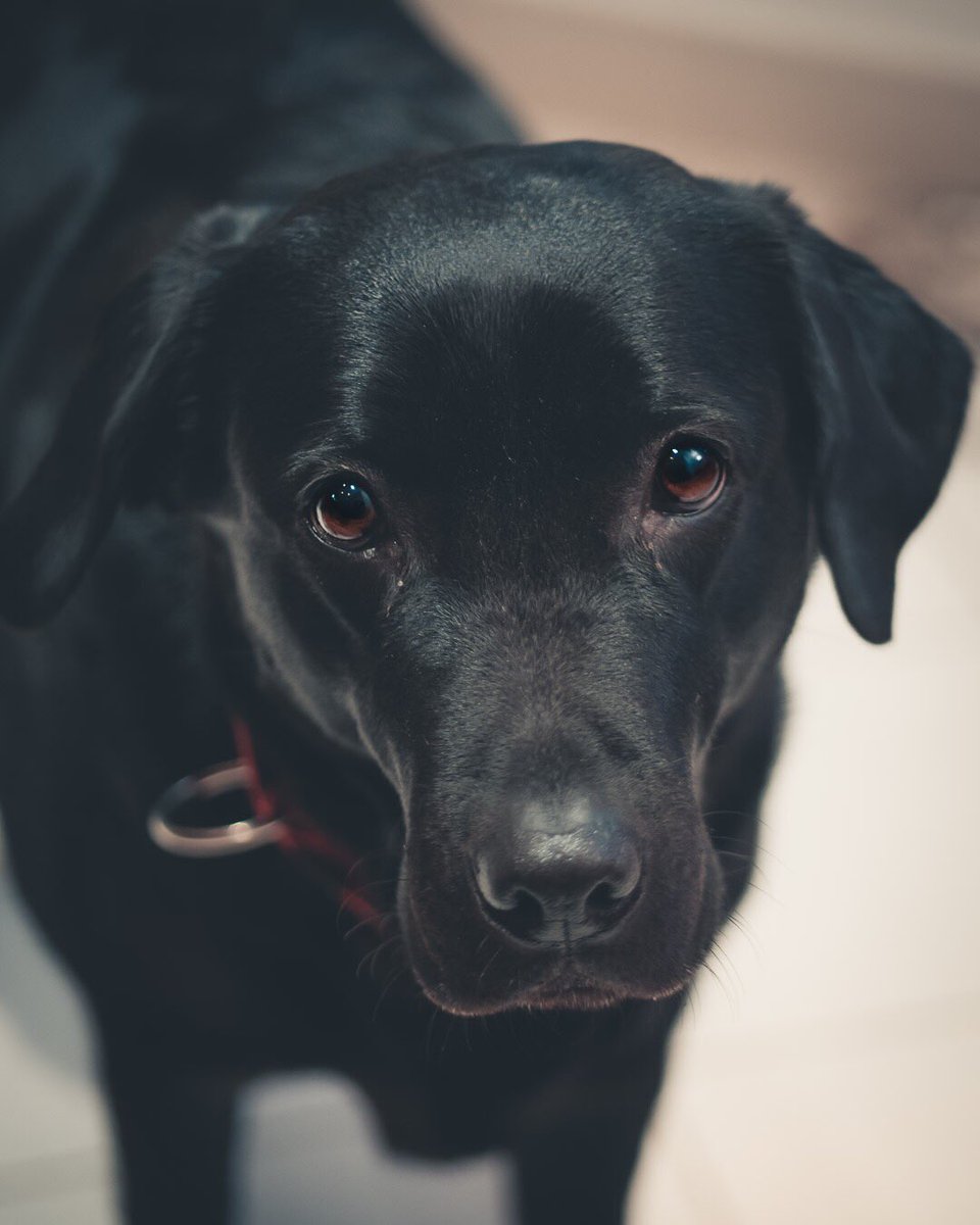 how to focus on calculating tower damage when these eyes are looking?  😀