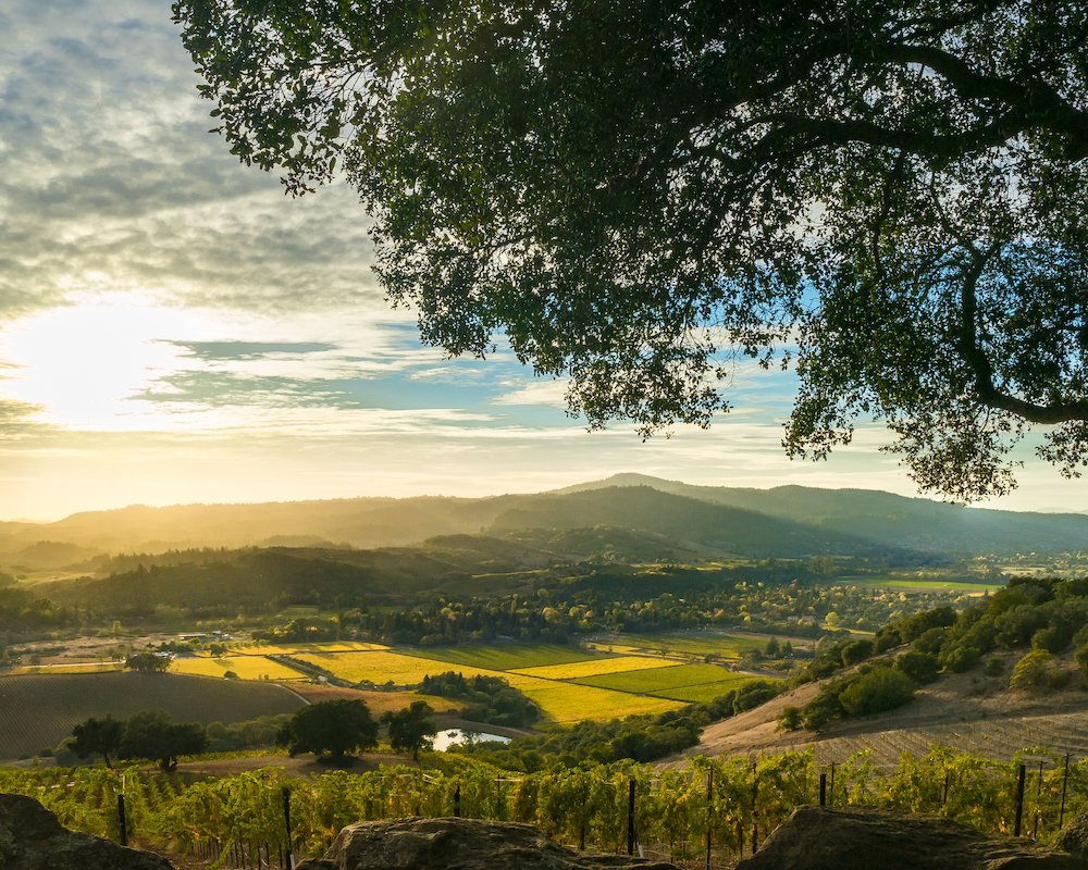 http://ow.ly/4USH30nxbUj
This is the time of year Heidi and I start reflecting on the previous year and plan for the next. Discover what we learned in our latest blog post. #sebastopolrealestate, #realestate, #Sonomacounty,#sebastopol