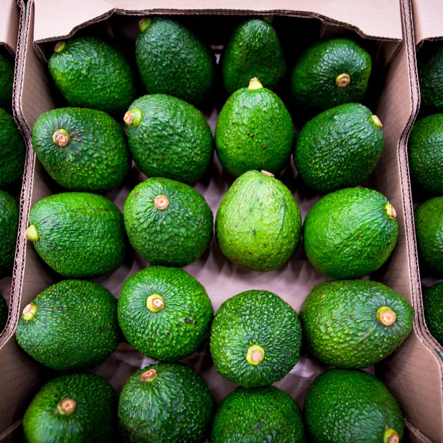 PROCOLOMBIACO's tweet photo. Due to its geography and climate, Colombia grows perfect and tasty Hass avocados. Try them to discover a high-quality flavor in every bite. 🇨🇴🥑 Colombian Hass avocado, #AsExcitingAsItsOrigin. https://t.co/ZhpuCaPIdu https://t.co/9bdGXAaFM0