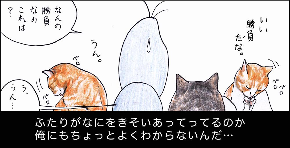 や、どうも。ちゃーとオサムのこうどうは、猫の俺にもイマイチよめないんだ。 