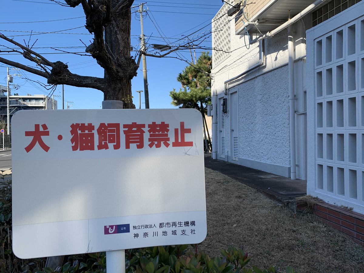 Twitter पर Pairi 事情は不明だけど 新しい犬猫看板から絵が消えてた 公都公団看板の悲しそうな犬猫さん Urペット共生住宅へ 犬猫看板 Danchi