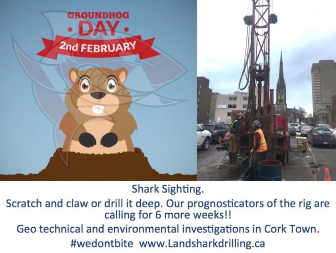 LandsharkDrill's tweet photo. #GroundhogDay2019 https://t.co/JuVAB9QkQq