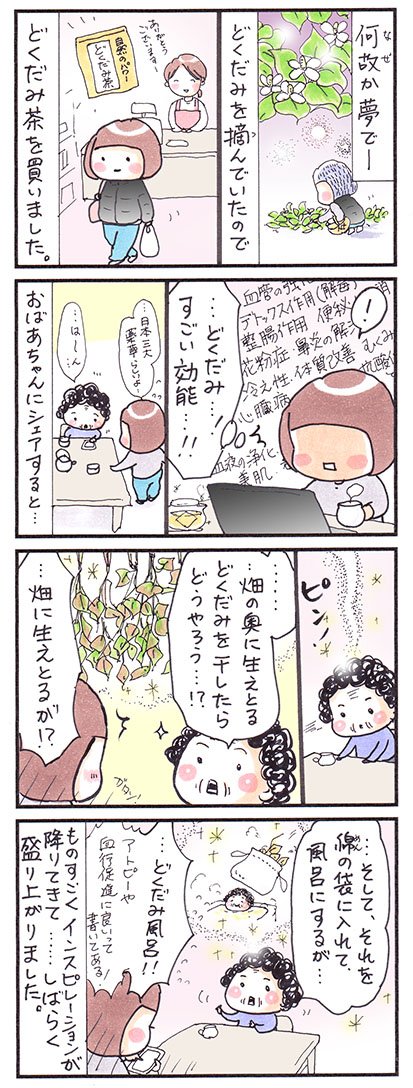 「薬効」
#真夜中の更新 #漫画 #イラスト #四コマ #エッセイ 
#どくだみ  #デトックス #薬草 #富山 #茶 