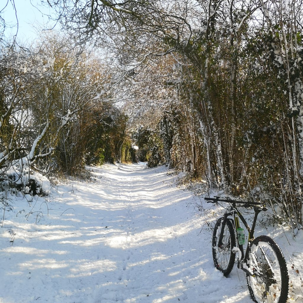 ruth_bikes's tweet photo. Really hope at least a million people got out and about today on two feet or wheels. Drivers have been having a mare locally, this was definitely the way to go. #lovebasingstoke #simplonbikes #OneInAMillion #snowday https://t.co/8194vbIUkD