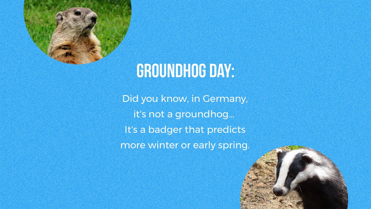 BlackmanBaptist's tweet photo. Arbitrary rodents determining the weather. π€·ββ π€·ββ
#ComeOnSpring
#GroundhogDay
#myBBC
#BBChurch https://t.co/qfrz39vuSj