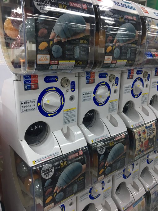 関西でガチャガチャの中身を売っているお店はここ あんなものまである 知的好奇心の備忘録