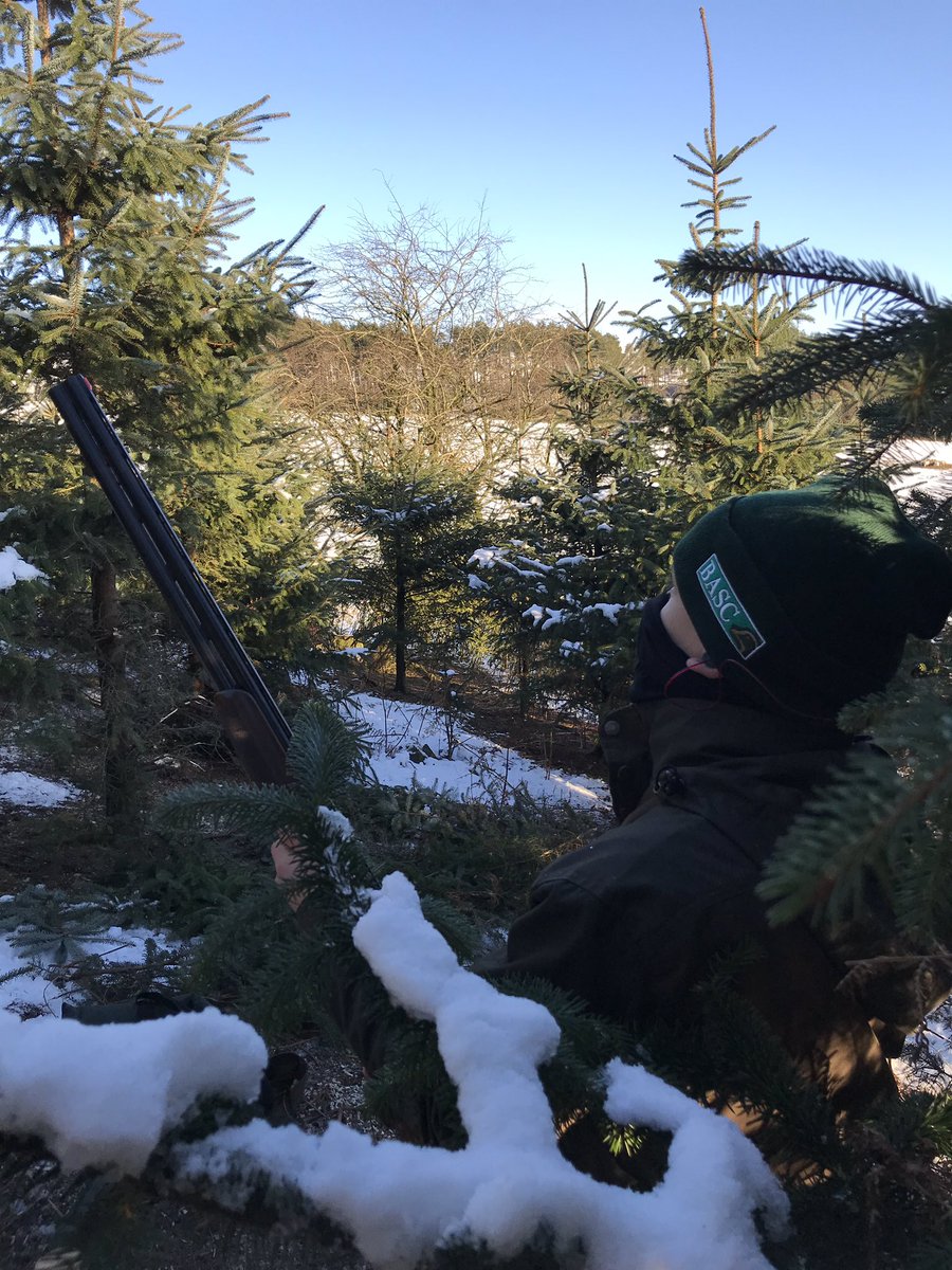 <a href="/BASCNorthYS/">BASCNorth Youngshots</a> out on a Corvid day, helped the keeper clear some rides, now In position for a Crow or two, snow, sunshine and kids outdoors enjoying the countryside #YoungShots #nextgeneration
