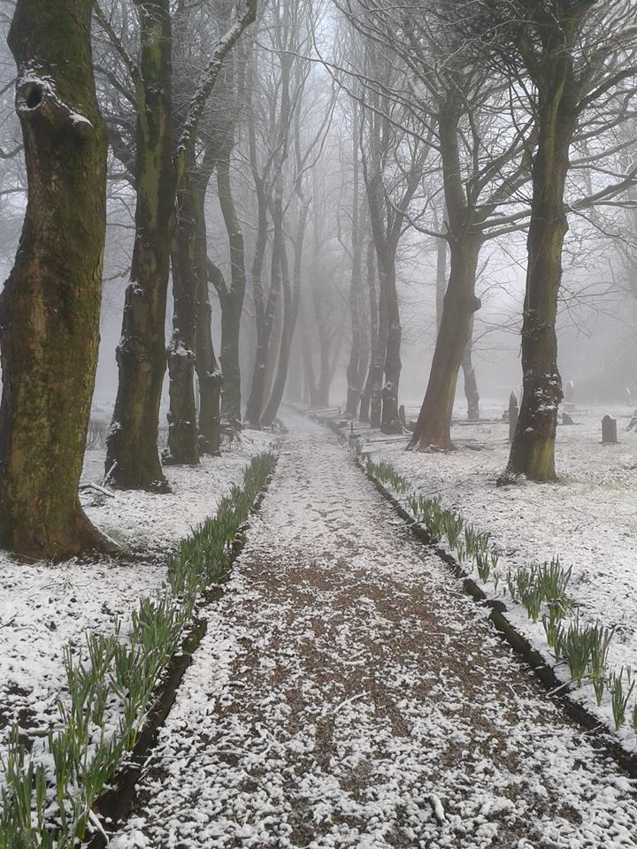 FriendsofFOPCC's tweet image. What a difference a few days makes.  The cemetery &amp;amp; churchyard look stunning in both the bad weather and the glorious sunshine today.  There are a mass of snowdrops, crocus coming out, and the daffodils should be flowering soon.