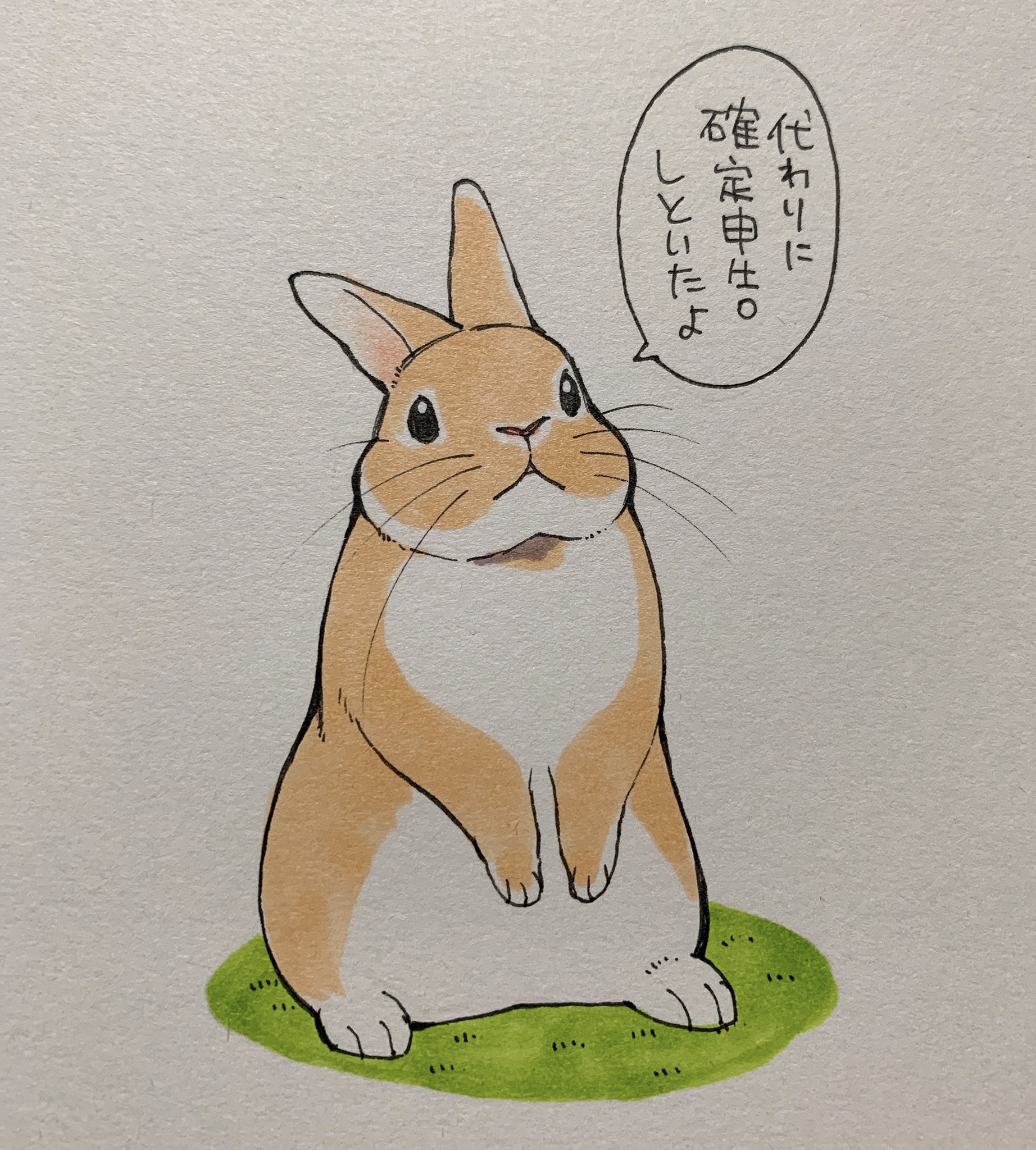井口病院 うさぎに言われたいセリフ T Co Ait4blyxlx Twitter
