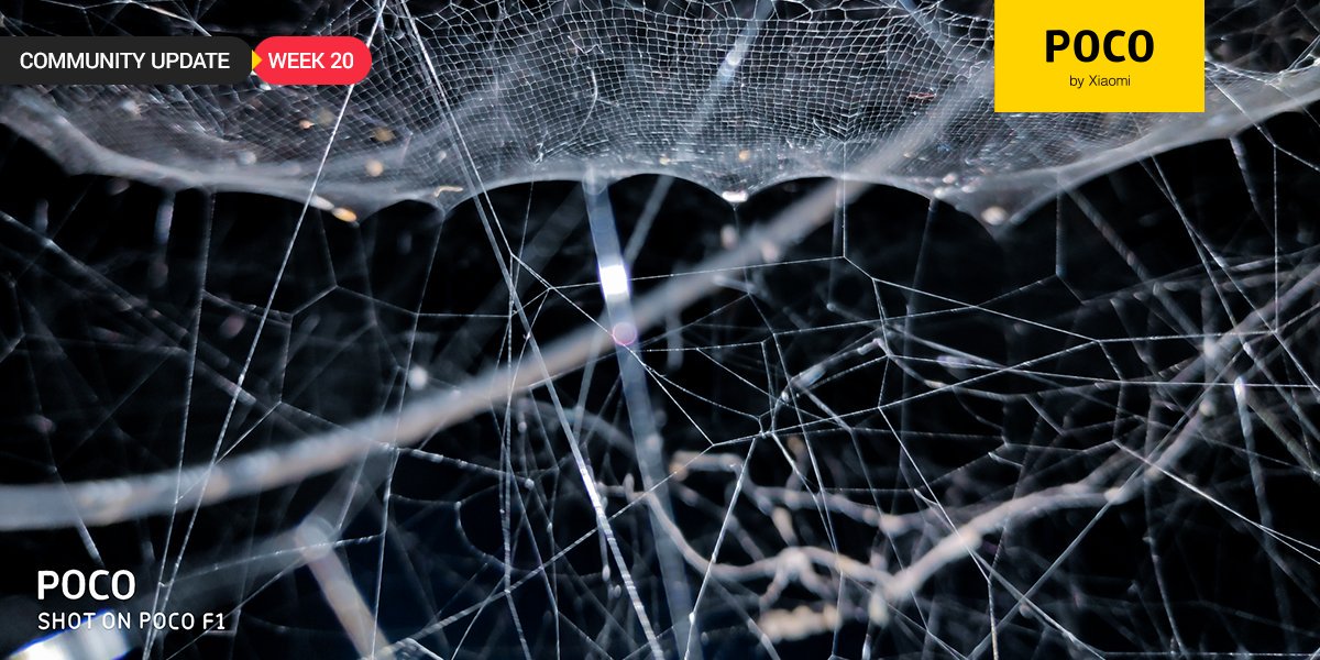 IndiaPOCO's tweet photo. Touch lag, Camera issue, 4k recording at 60FPS and much more.

Check out this week's #POCOCommunity update here: https://t.co/wufwajmvq2 https://t.co/q36N5w1LFA