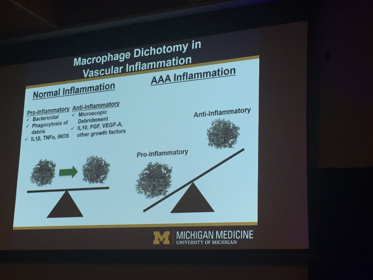 ColemanDM_vasc's tweet photo. Congratulations to @UoMVascSurgery ‘s @FrankMDavisMD for the #VESS2018 resident research award. Great research update from the @BTBKGMD lab on the influence of macrophage epigenetic modifications on chronic inflammation in AAA. https://t.co/gAXa3jvPFe