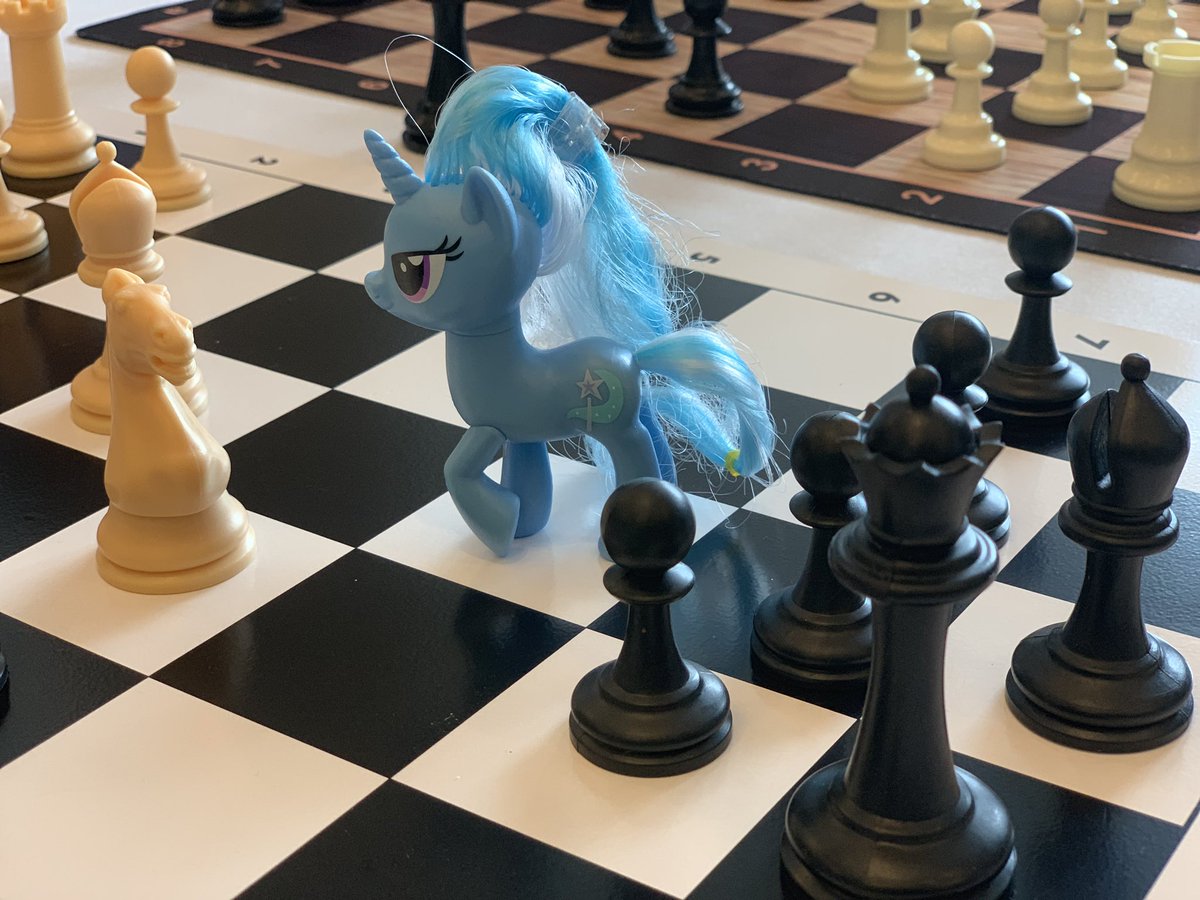 ramivic's tweet photo. Greater Chicago K-12 Chess Championships at McCormick Place today. #TrixieLulamoon #chess #chicagochess #renaissanceknights #CPS @Sethisto @only1MarkBittle @WizardNaiJi @TheIllustriousQ https://t.co/TC8EmmmIGy