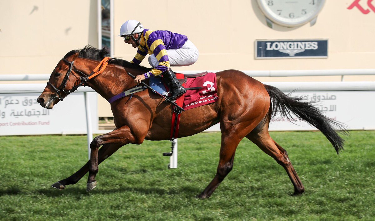 COCOCABALA (IRE) 
🏆 
2/2/2019 

WINNING THE THOROUGHBRED 3 YEAR OLD TRIAL (Class 2) AL RAYYAN PARK QATAR@Q_REC 

2016 BG by Sir Prancealot (IRE) x Dream Applause (Royal Applause) Was purchased by <a href="/hilalkob/">Hilal Kobeissi</a> from  <a href="/Tattersalls1766/">Tattersalls</a> HIT 2018

Congratulations to all connections 🏆