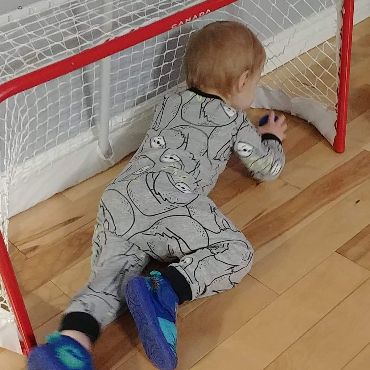 BigD_InThePeg's tweet image. New net and new mini sticks but just wants to lay in it! Lol
#LifeWithLoganWilliam #MiniSticks