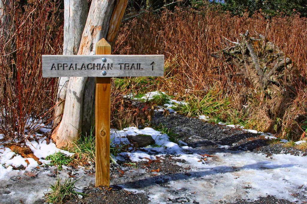 PeacefulSmokies's tweet photo. We want to know, what is your favorite #Hiking trail in the #GSMNP? #Smokies #SmokyMountains #Spring2019 #Springinthesmokies https://t.co/1URFwJUtB4