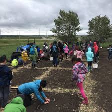 PaulyHughes's tweet photo. @RachelNotley We couldn't agree more! 17,000 youth helped build farm, aka KidsFarm via FREE field trips. 500+ students from @UCalgary volunteer at farm. 
@GrowCalgary has presented &amp; provided research to 20+ classes. 
Free to all kids. Kids love Farms!
#ABLeg #YYC #YEG #Youth #EDU #FoodAccess https://t.co/rdUgL3N1ah