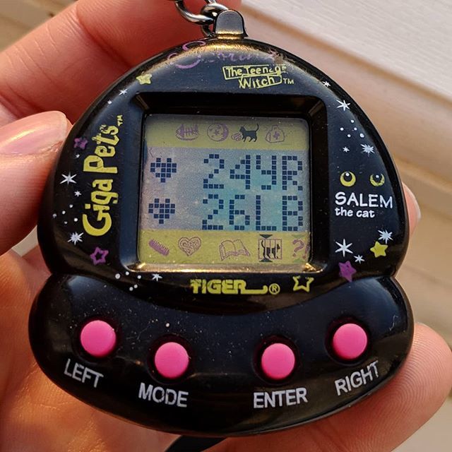 Tamapetchi's tweet photo. Timer on this definitely continues after it's dead!! LOOOL
🙀 ♥
#tamagotchi #gigapet #gigapets #gigapetcat #gigapetkitty #gigapetsalem #salemgigapet #salemtamagotchi #sabrinatheteenagewitch #virtualpet #cyberpet #toy #electronictoy #electronicpet #90s… https://t.co/0DjQB1V8Bp https://t.co/RJgWNtZoBH
