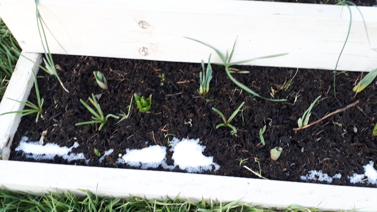 Cold today but there are small signs that spring is not too far away