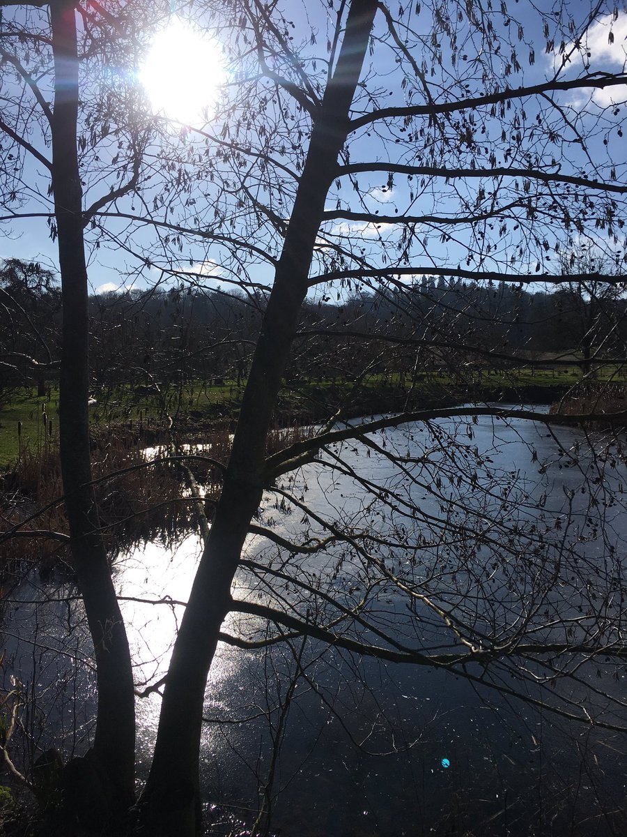 sallyjwatson's tweet photo. Herefordshire has scrubbed up pretty well post #snowmageddon #walkswithdad https://t.co/721sW12Ayy