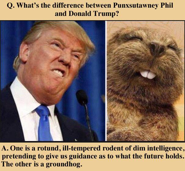 It is #GroundhogDay after all.