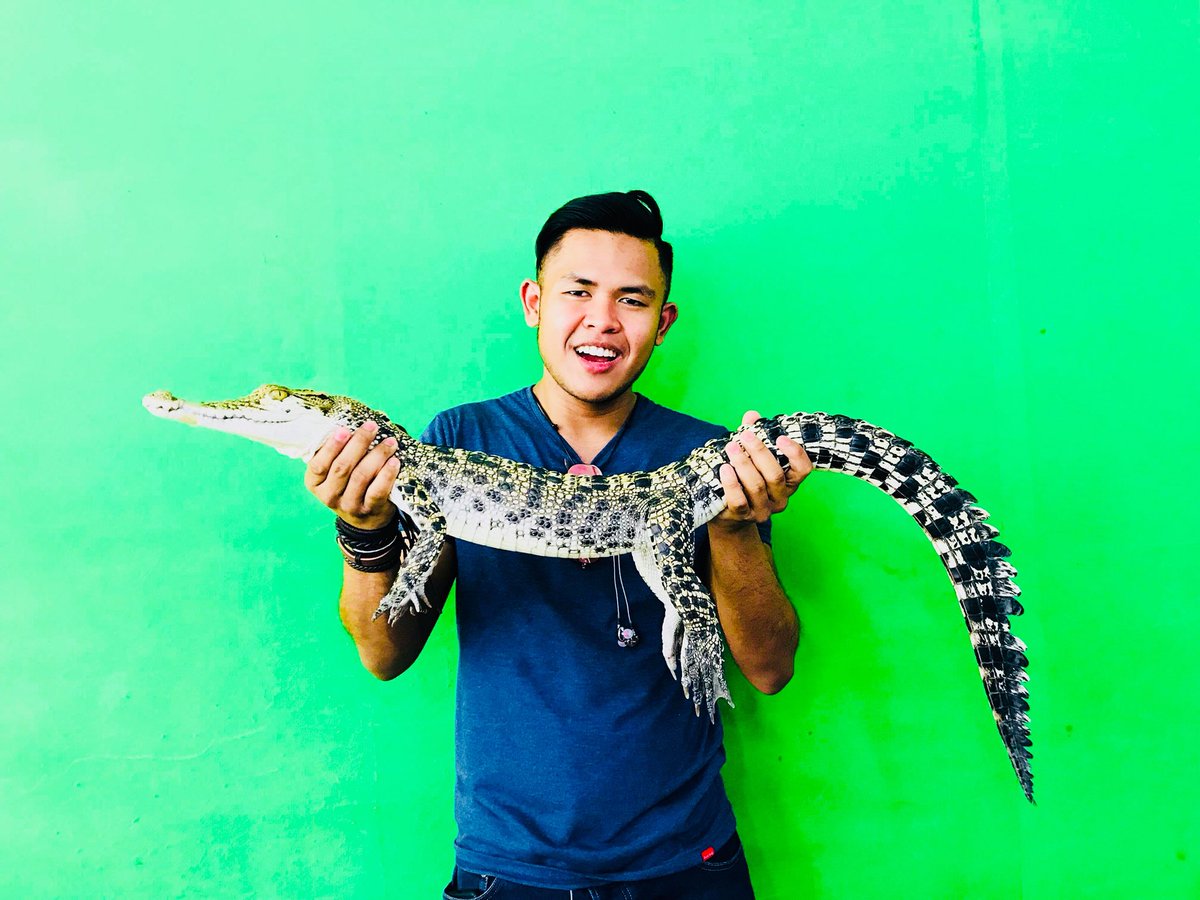 SunbeeTours's tweet photo. Swaying palm trees 🌴 🌴🌴 and perfectly sunny weather 🔆🔆🔆 for our corporate clients  on their Incentives to the #Philippines Last Frontier 🌊🌊🌊  #Palawan! 🐠🦑🐊🦒🦋 #sunbeetours #corporate #incentives #mice #DMC https://t.co/xDysVDvy4G