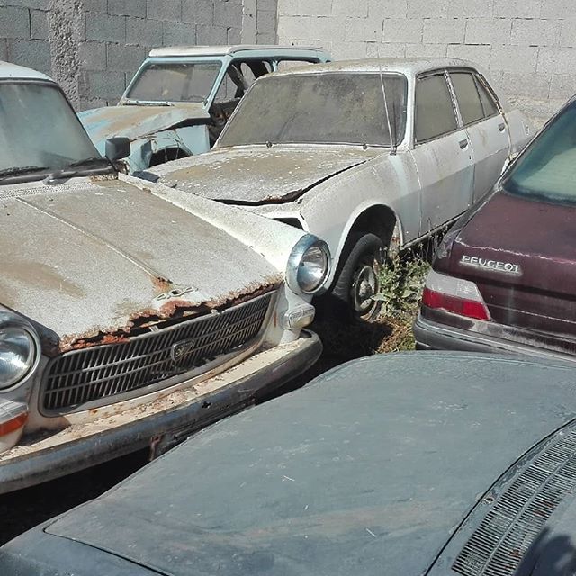 FauroMotor's tweet photo. #peugeot504 #peugeot #lionpjr #peugeot404 #barnfind #abandonedplaces #dyane https://t.co/2koPJij7n4 https://t.co/dFyGdpvm7j