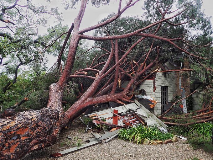 View image on Twitter