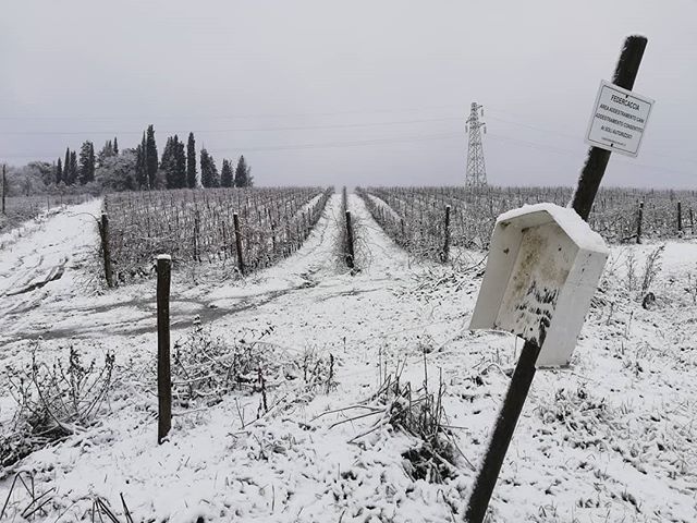 Frammenti di Toscana tweet media