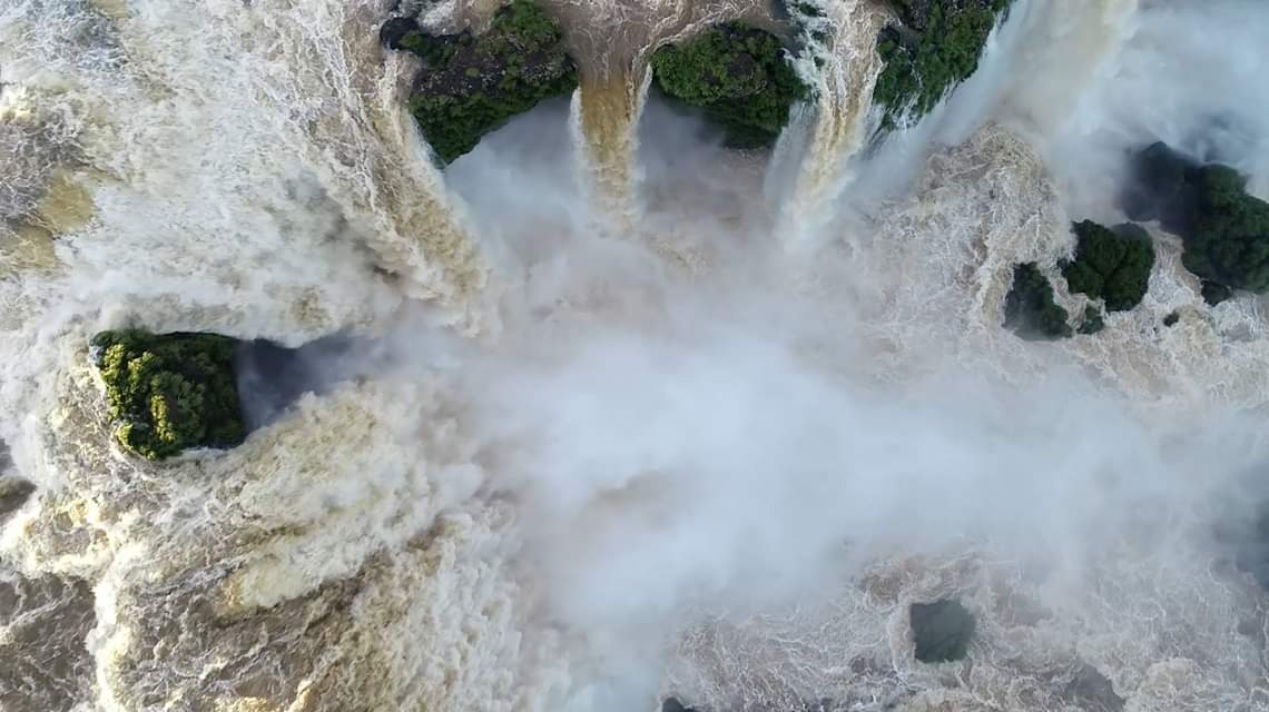 Revolber tweet media