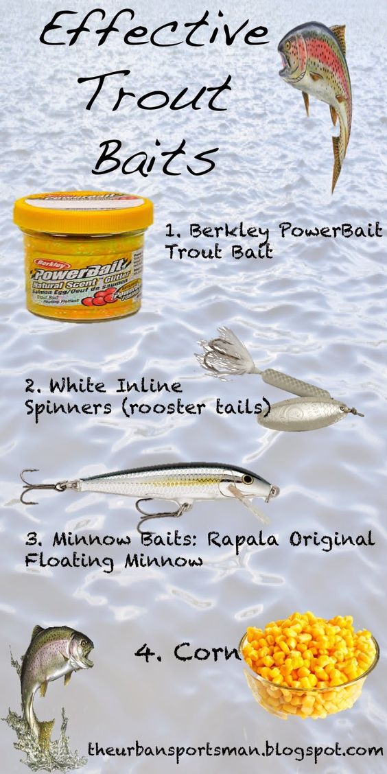 FIsmyheart's tweet photo. A few baits effective for stocked trout https://t.co/Dnczq6su2B