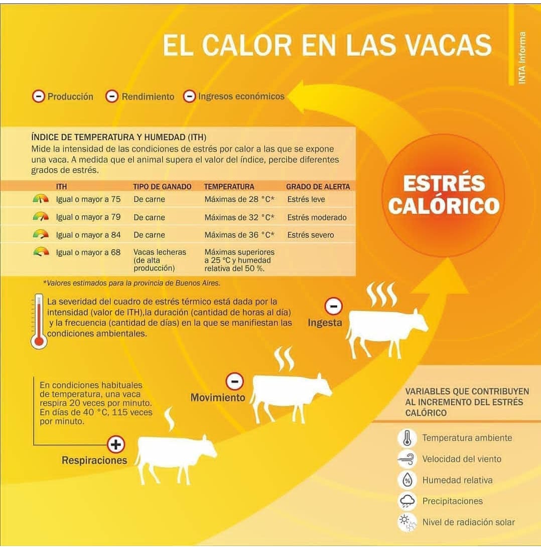 laruraltl's tweet photo. 🐂🌞 Desde la Ruta de Trenque queremos brindarte algunos datos a tener en cuenta para evitar #EstresCalorico en animales! @CARBAP_ARG @CRAprensa https://t.co/Xuw8y5XWfX