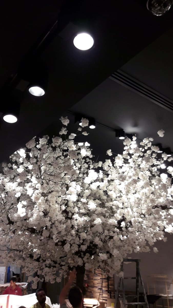 #workinprogress #Dubai #Blossom