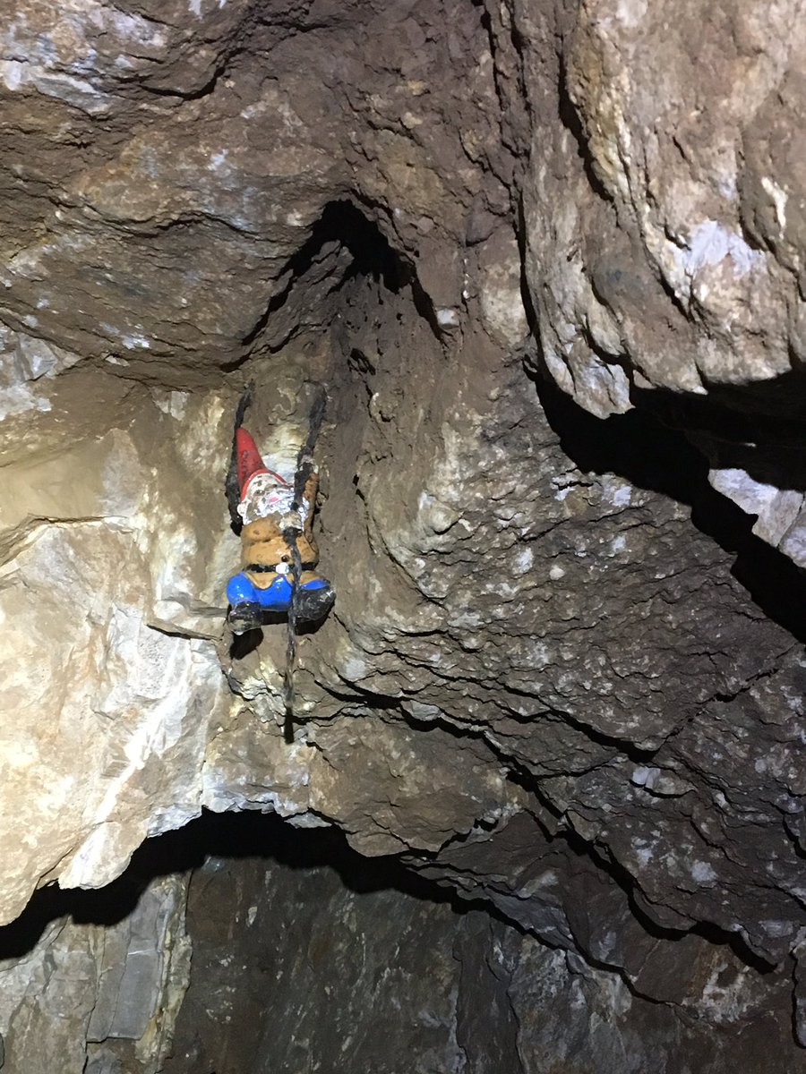 HelenHamilton10's tweet image. Sureyed 5 Via Gellia mines for #hibernating #bats today with @whitepeakrunner @derbyshirebats @BCT_NBMP @_BCT_ 
Found these creatures!