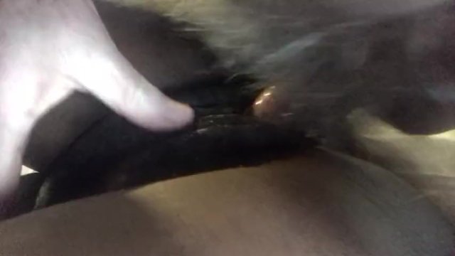 Fresh video on Modelhub - get it while it's hot: https://t.co/M7DrnFO2tp https://t.co/7hovdHv3aB<a href="/tag/birmingham"class="tags"><span>#birmingham</span></a><a href="/tag/escorts"class="tags"><span>#escorts</span></a><a href="/tag/westbrom"class="tags"><span>#westbrom</span></a><a href="/tag/walsall"class="tags"><span>#walsall</span></a>