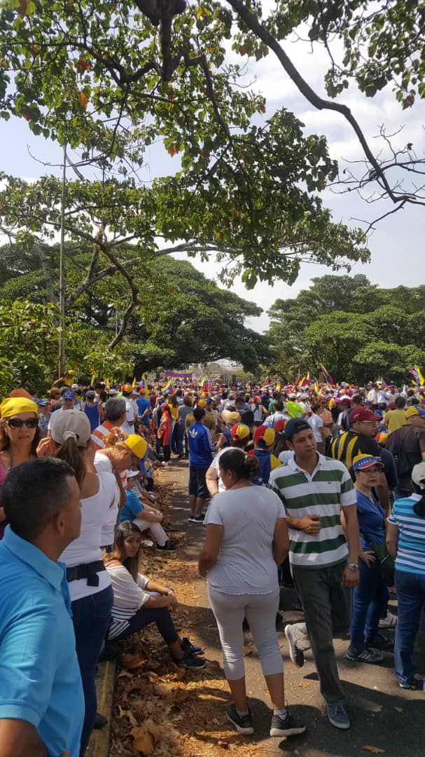 Tespis's tweet image. El Táchira es la cuna de la libertad de Venezuela y hoy lo grita a los cuatro vientos para el mundo.! #ElMundoEstáConVzla #VenezuelaEnLaCalle @ProyectoRoraima