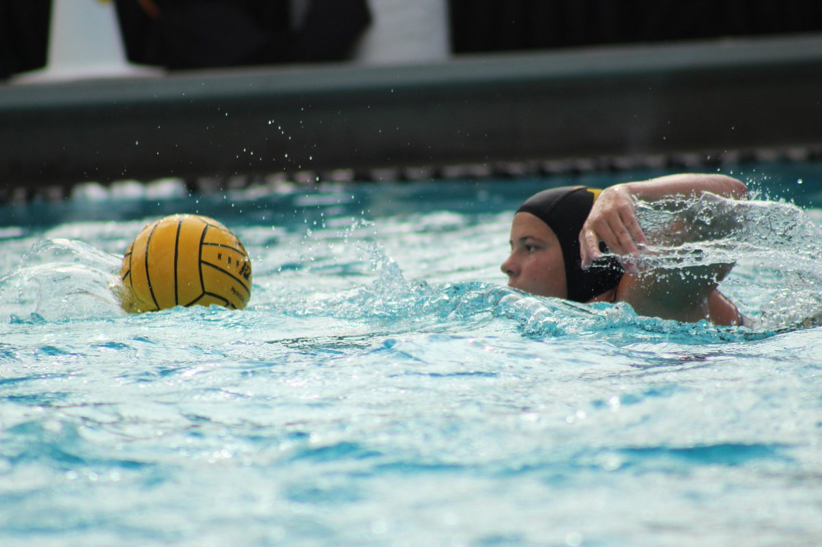 HarrisonZhang23's tweet photo. FINAL: @SunDevilWP wins 19-7 over @IonaWaterPolo #waterpolo #details #devildub https://t.co/c10VRjOq94