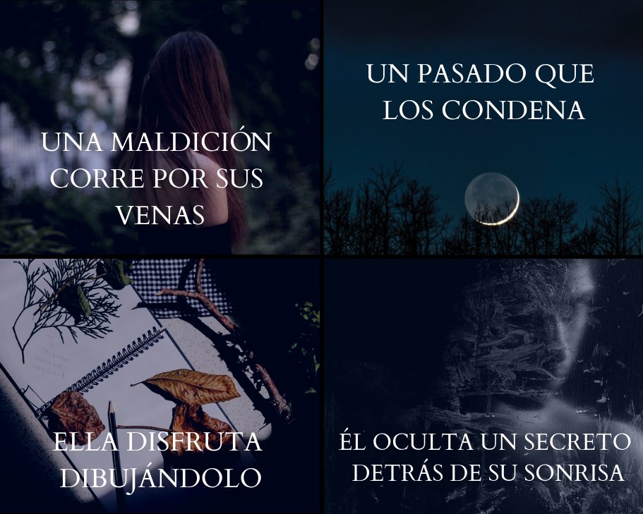 NovaCasaEditors's tweet photo. Decidido, irrumpe en su vida destruyendo la tranquilidad y la monotonía en la que ella vive.
#kanovan #kiovan #maldicióndelaluna #leyendakiari https://t.co/wsmdzu6hT1