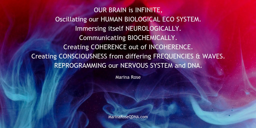 Marina Rose, QDNA® tweet media
