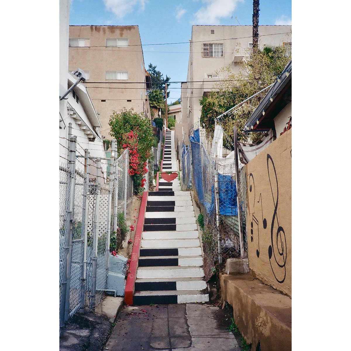 Silverlake Stairs
.
.
.
 #35mm #35mmfilm #ishootfilm #shootfilm #staybrokeshootfilm #filmisnotdead #filmforever #fortheloveoffilm #deathb4digital #thefilmcommunity #thefilmdiaries #thefilmgang #filmphoto #filmcommunity #shootitwithfilm #analogphotography #filmwave #believeinfilm