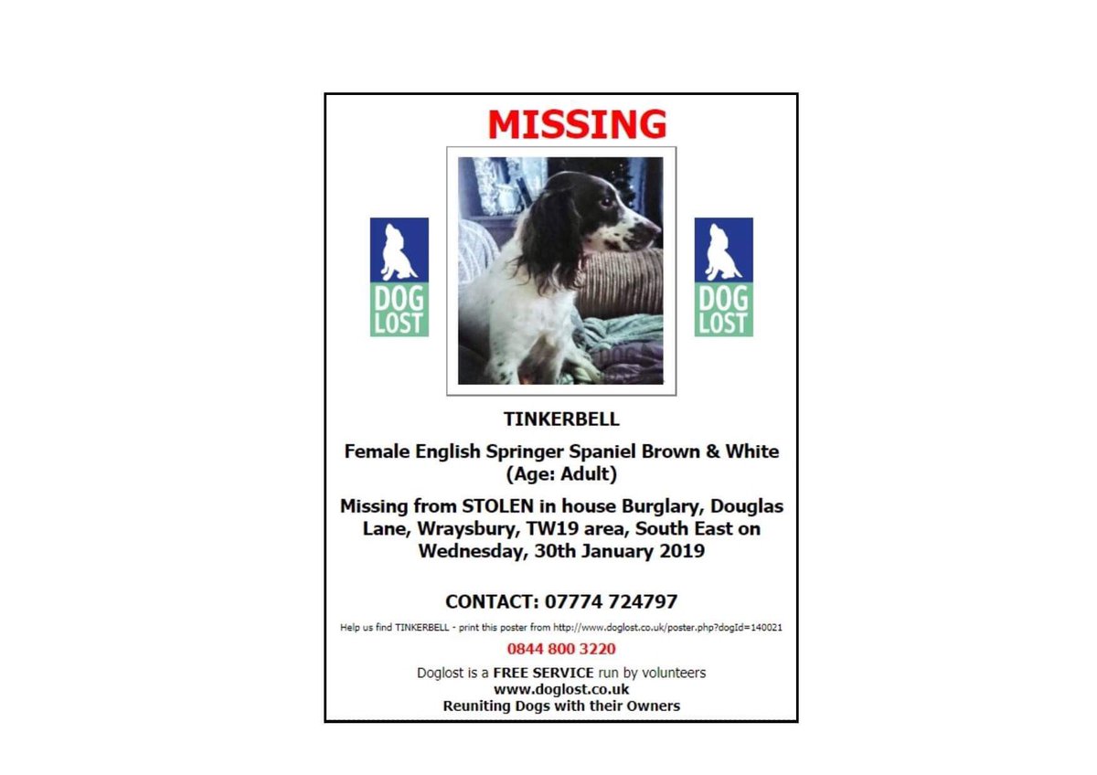 rosieDoc2's tweet photo. TINKERBELL #Findtinkerbell WHERE IS SHE? WHO TOOK HER?
Someone broke into TINKERBELLs house and took her ๐จ #Wraysbury #TW19
WEDNESDAY 30/1/19
POLICE ARE AWARE & they will be checking #CCTV thoroughly IF U KNOW ANYTHING PLS LET US KNOW TY
https://t.co/nEOWbAsQ09 https://t.co/oISuslXUsk