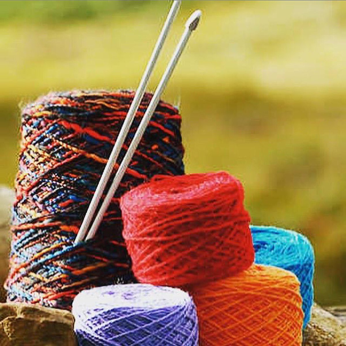 kingcraig_brora's tweet photo. Everyday is a Knitting Day at Kingcraig! . #knitting #knittersofinstagram #knit https://t.co/XHVfAVFEv3