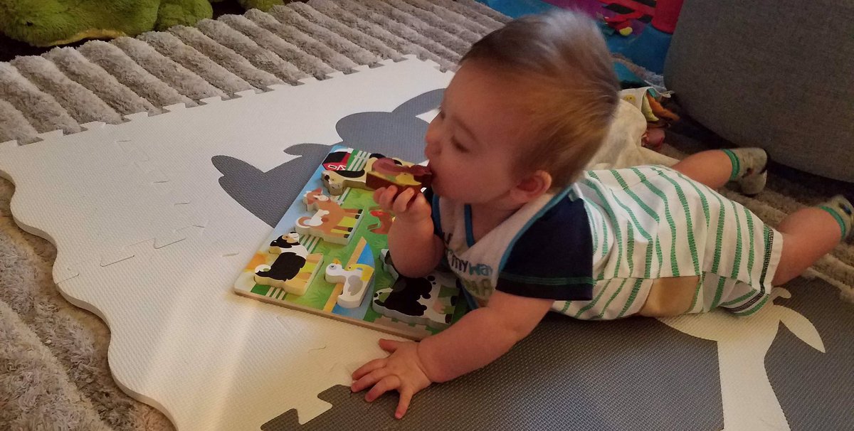 newesttweet's tweet photo. My grandson, Jayden, is getting so big. https://t.co/ItBQ82mEWt