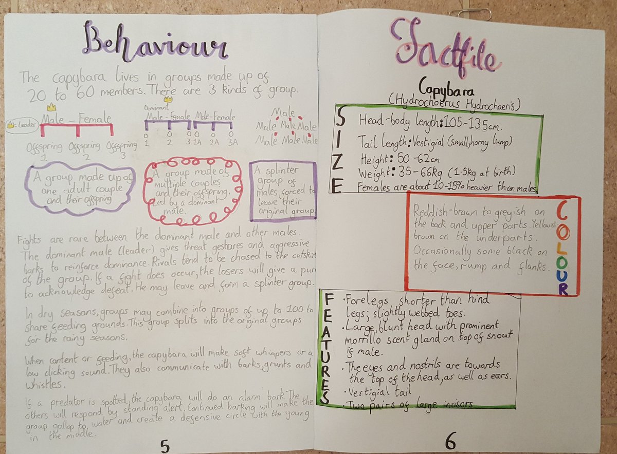LoudounScience's tweet photo. Mrs Quate's S2 class producing some fabulous written projects. Carried out by putting reading comprehension into context, using a mix of activities and materials. Helping learners to develop skills in organising and analysing  information. First class work 👍 https://t.co/txVqShzzSy