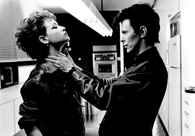 BowieCollective's tweet photo. Should I kiss the vipers fang?
.
#thebowiecollective #thebest #bowieshow #on #themoon #earth #mars #venus #davidbowieis #commanderof #thebowieverserulesok #black #vampire #spider #starsunite #forjustonenight #lovecleans #themind #happinessishappening #mi… https://t.co/wgHVN2GcR9 https://t.co/gzhSdwEpDb