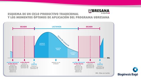 JuanCMuriel's tweet photo. Hoy hablamos sobre plan sanitario de la vaca de tambo en el periodo de secado y pre parto. Momento ideal para crear inmunidad y aportar vitaminas y minerales.
#RotatecJ5 #BiopoligenAir #AdaptadorMinVit
#BiogénesisBagó
@HoradelCampo590 https://t.co/BGlX9DsSti