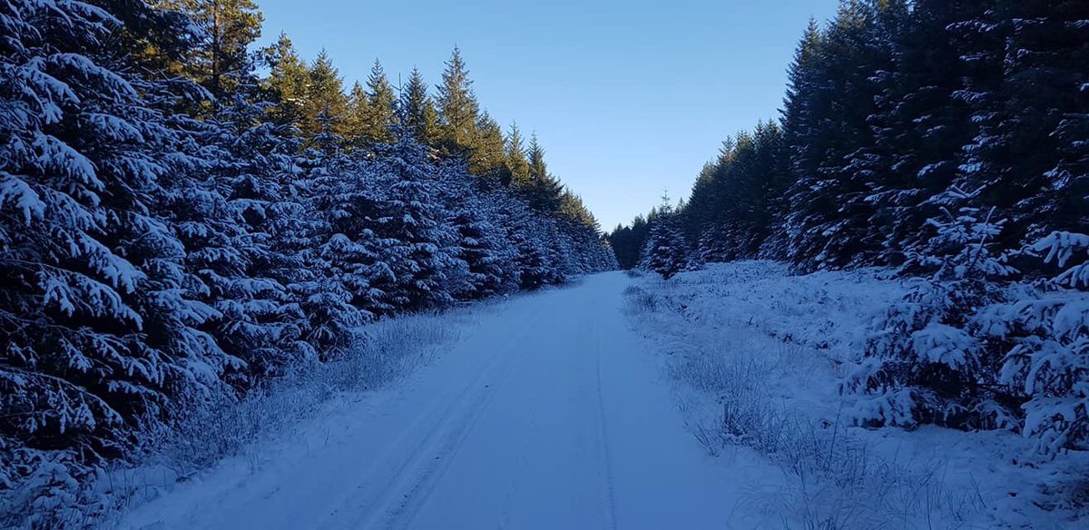 154ScottishRegt's tweet photo. Exercise Burns Rover - getting a weekend playing with the trucks in the snow! ☃️#LogisticsInScotland #WeAreTheRLC #SnowyScotland https://t.co/21oftJhPMV