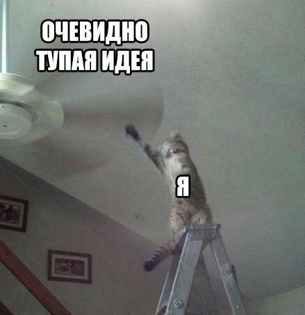 Kvir Koded Kroki On Twitter Minkovski