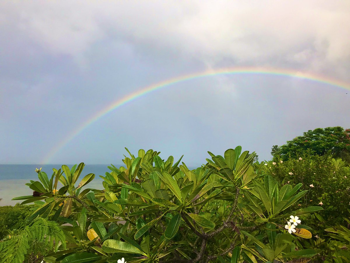 DrTomostyle's tweet photo. Beautiful rainbow and a hint of a double rainbow 🌈 🌈 Love these moments of joy when the rain transitions to sunshine https://t.co/Xfet2yZxf0