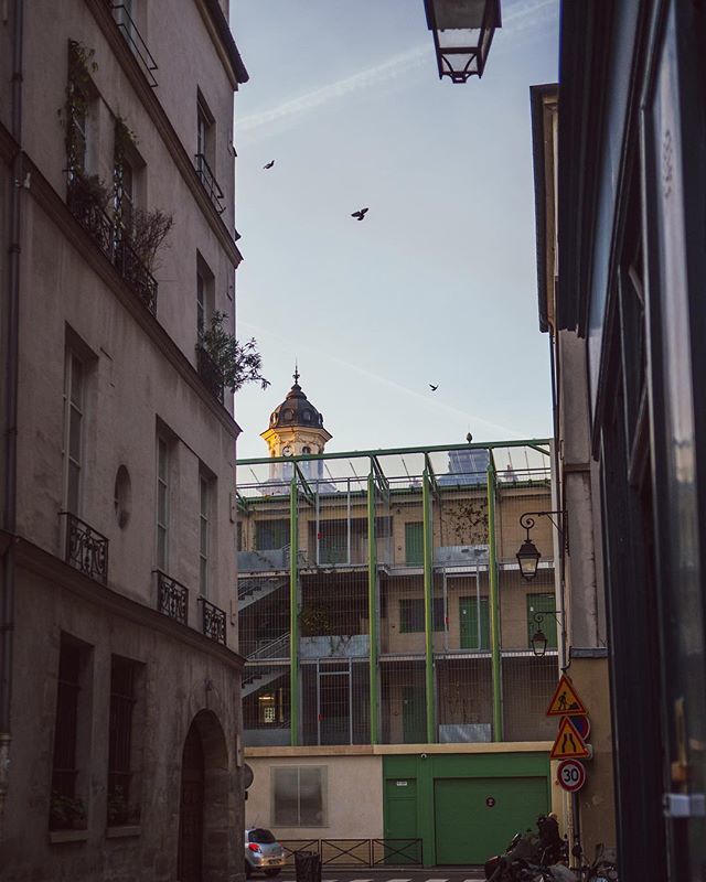 dsrptd_'s tweet photo. comme il était tôt! 
j’devais grave puer de gueule mdr https://t.co/kCtObYtSNp https://t.co/ai0vl4WVfK