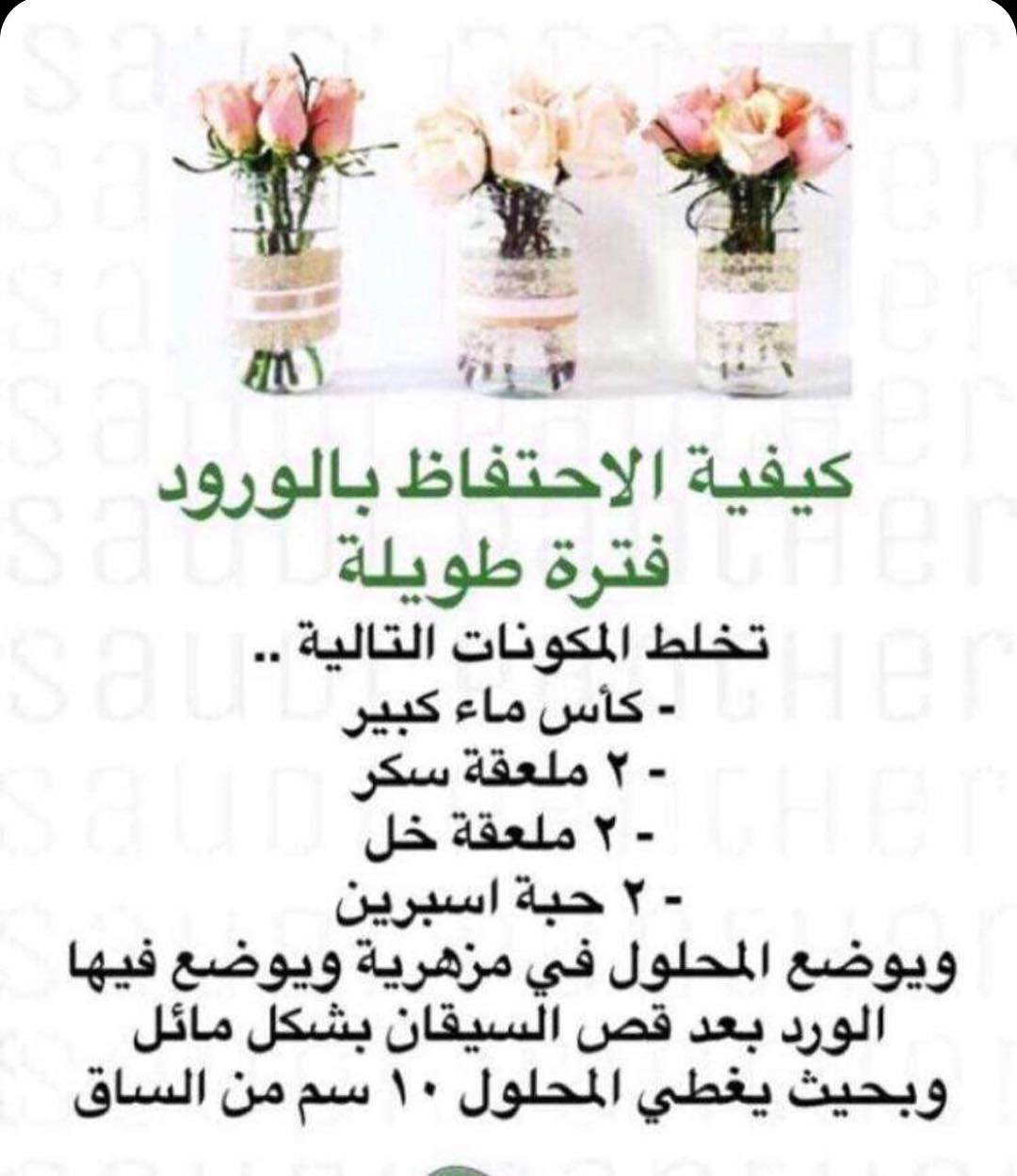 هستيري اقتراح جلد كيف احتفظ بالورد الطبيعي لمدة طويله caringforcarersindacorum com